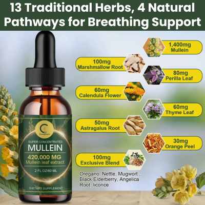Auryve Mullein Drops - From 'Fighting for Breath' to Breathing Clearly — What Your Inhaler Can't Fix