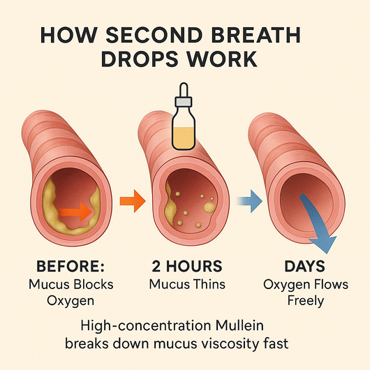 Auryve Mullein Drops - From 'Fighting for Breath' to Breathing Clearly — What Your Inhaler Can't Fix