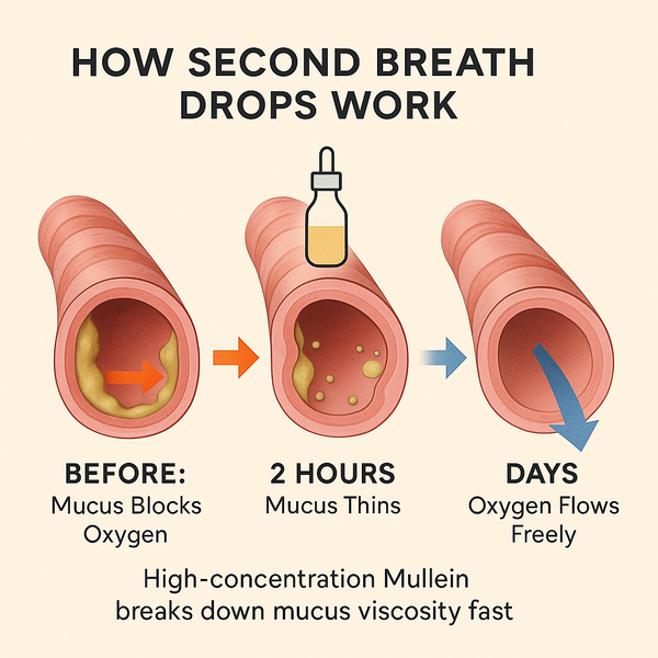 How Second Breath Drops Thin Mucus in Hours (Not Days)